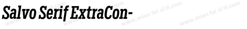 Salvo Serif ExtraCon字体转换